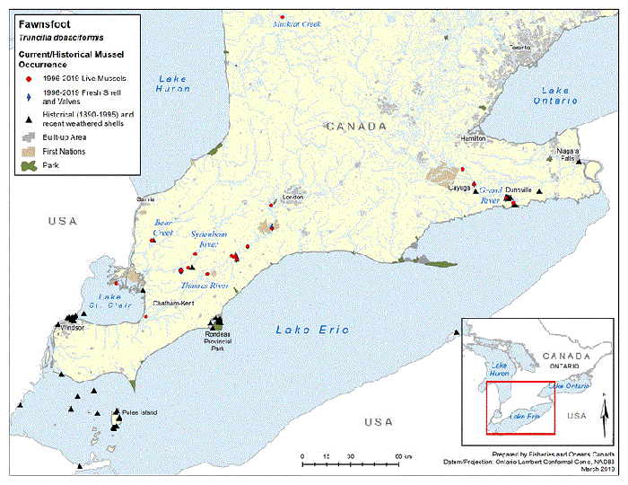 Fawnsfoot map