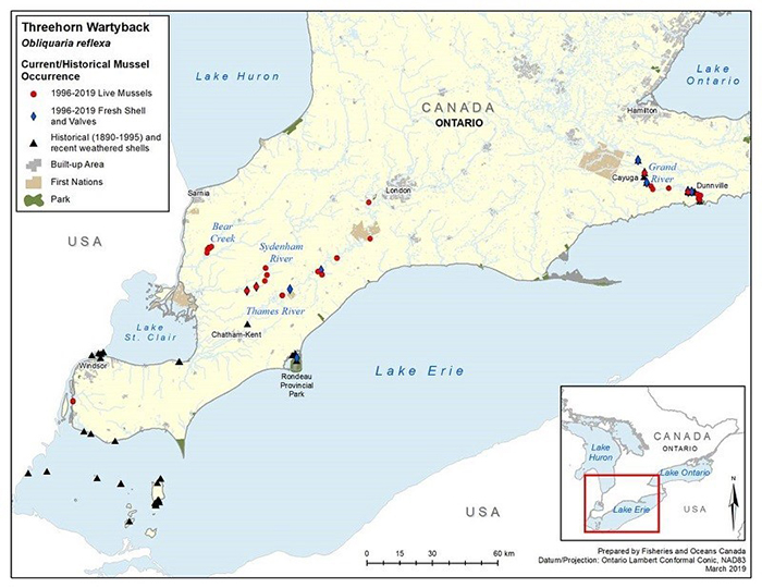 Threehorn Wartyback in Canada map