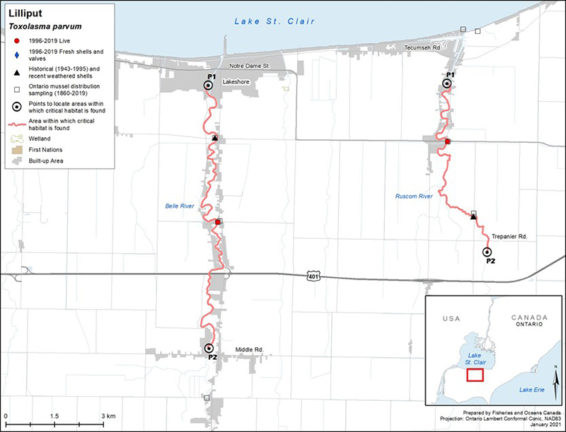 Map for Lilliput in the Belle and Ruscom rivers