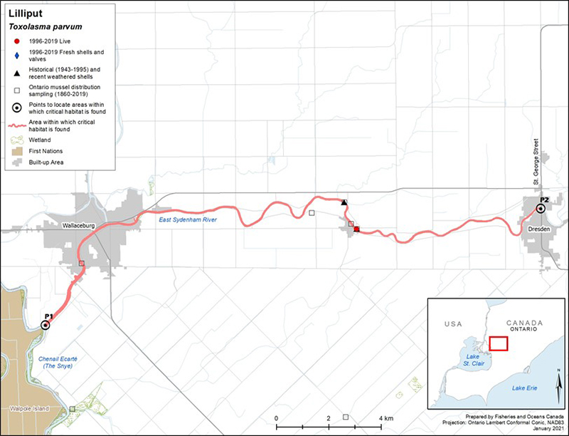 Map for Lilliput in the East Sydenham River