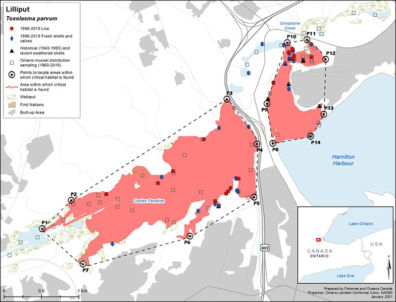 Lilliput in Hamilton Harbour and surroundings