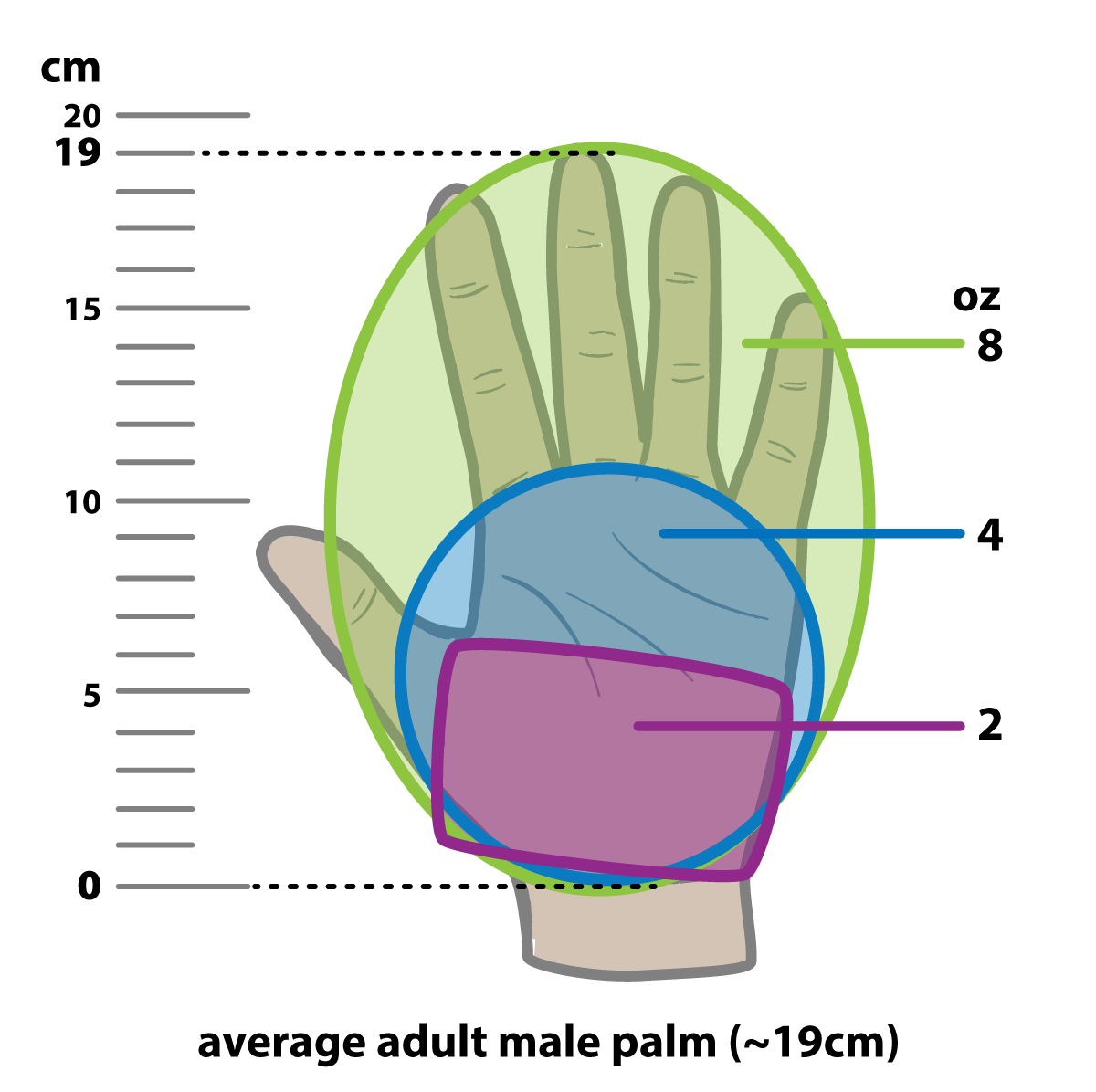 A visual guide to fish serving sizes