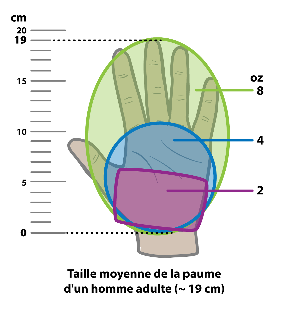 Guide visuel des portions de poisson