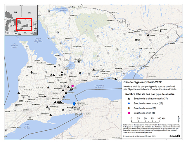 carte des virus positifs pour la rage de janvier à décembre 2022