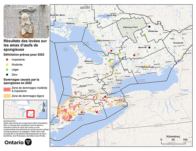 Carte du sud de l’Ontario illustrant la distribution des prévisions de la défoliation causée par la spongieuse en 2023.