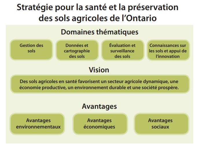 De nouveaux horizons : Stratégie pour la santé et la préservation des ...