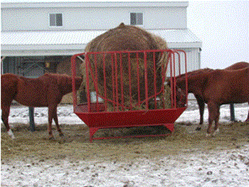 Figure 1. Horses feeding from a round-bale feeder.