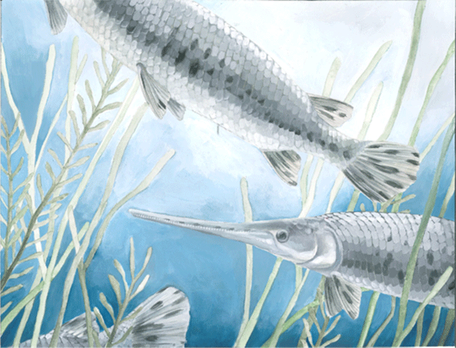 Colourful painting of three longnose gars swimming in some weeds. 