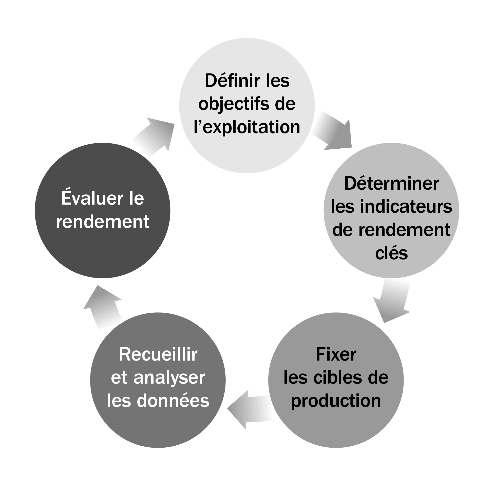 Cycle d’évaluation du rendement : fixer les cibles de production, recueillir et analyser les données, évaluer le rendement, définir les objectifs de l’exploitation, déterminer les indicateurs de rendement clés.