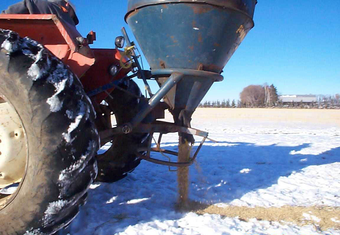 Grain being spread on the ground by a tractor and gravity flow hopper
