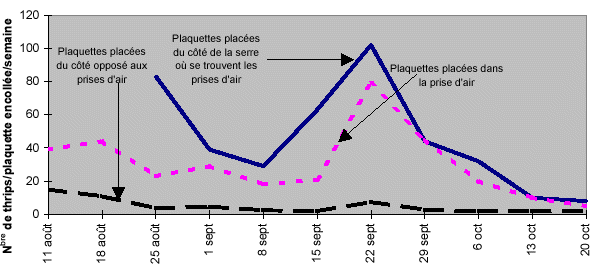 Nombre de thrips/plaquette encollée/semaine