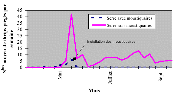 Nombres moyens de thrips piégés par semaine