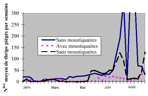 Nombres moyens de thrips plégés par semaine