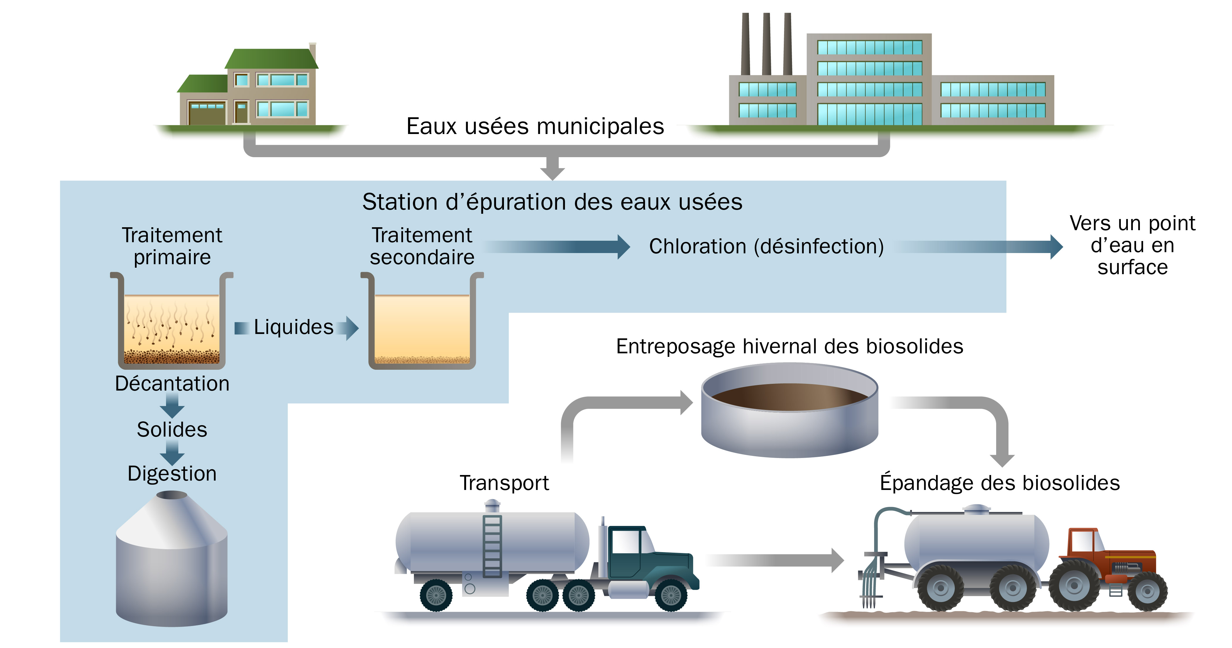 Ceci est une représentation illustrée des principaux processus de traitement dans une installation de traitement des eaux usées municipales qui produit des biosolides d’égouts traités qui sont épandus sur des terres agricoles ainsi qu’un effluent traité (eau) qui est déversé dans une eau de surface, comme une rivière.