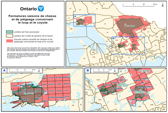 Carte des fermetures saisons de chasse et de piégeage concernant le loup et le coyote 