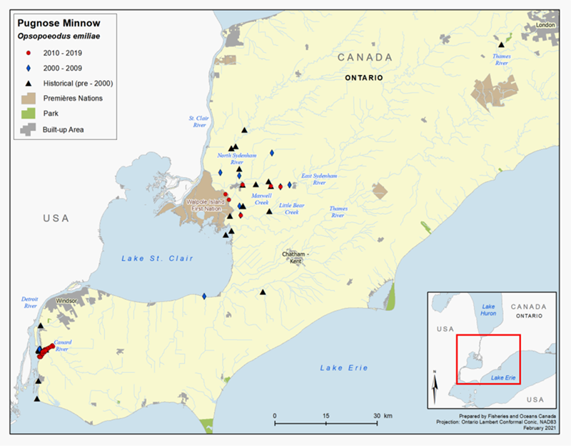 Figure 3. Distribution of the Pugnose Minnow in Canada 