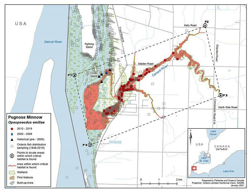 Figure 4: Area within which critical habitat is found for the Pugnose Minnow in the Detroit/Canard rivers