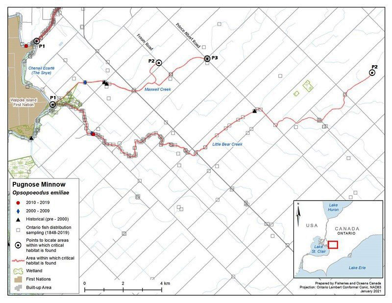 Figure 6. Area within which critical habitat is found for the Pugnose Minnow in Little Bear Creek and Maxwell Creek