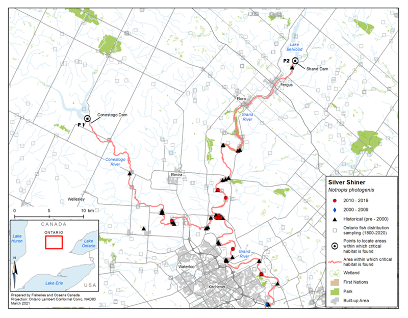 Figure 7. Area within which critical habitat is found for Silver Shiner in the Grand River and Conestogo River