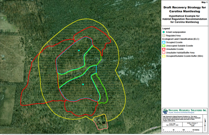 Aerial satellite image of land showing ecosites that are occupied, unoccupied and suitable, and unoccupied and unsuitable. A 90 metre buffer is also shown.