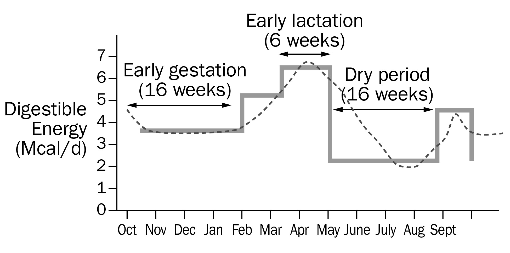 Graph showing digestible energy requirements for ewes at various production stages.