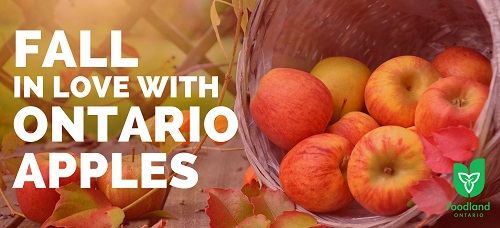 An image with a basket on its side with apples in it. Text says: Fall in love with Ontario apples. The Foodland Ontario logo is in the bottom right-hand corner.