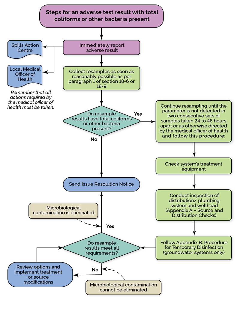 This flowchart shows the steps for an adverse test results with total coliforms or other bacteria present