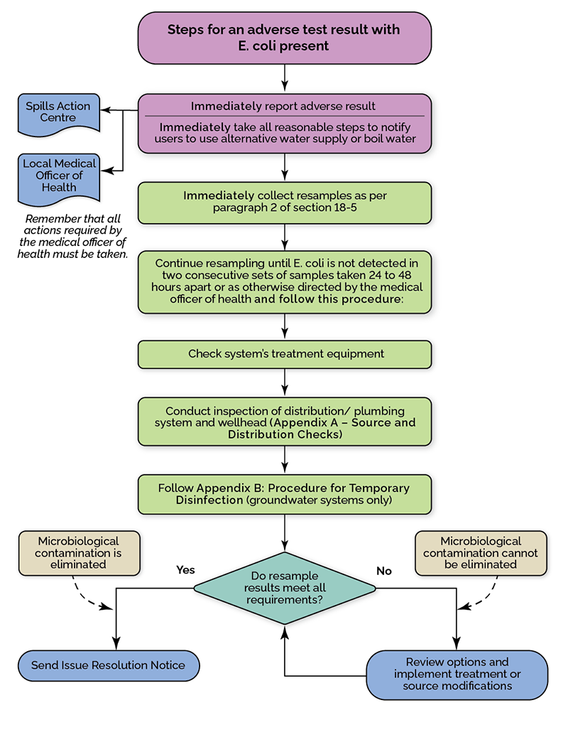 This flowchart shows the steps for an adverse test results with E. coli present
