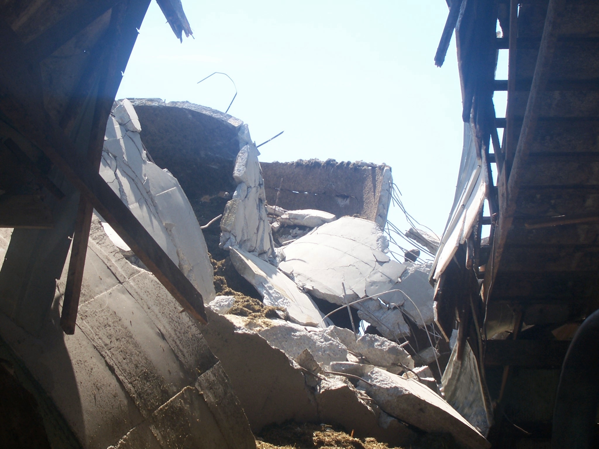 Photo montrant les dommages considérables occasionnés par l’effondrement d’un silo-tour en béton sur le toit d’un bâtiment d’élevage adjacent. Ce genre d’accident peut être fatal aux humains et aux animaux qui se trouveraient sur les lieux de l’effondrement.