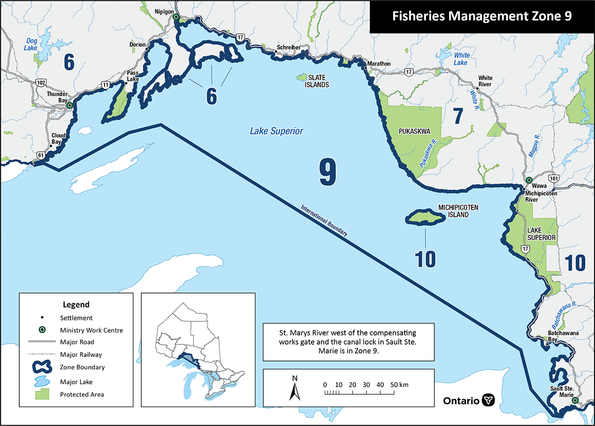 Zone 9 consists of Lake Superior excluding most of the tributaries and the islands of St. Ignace, Simpson and Michipicoten.