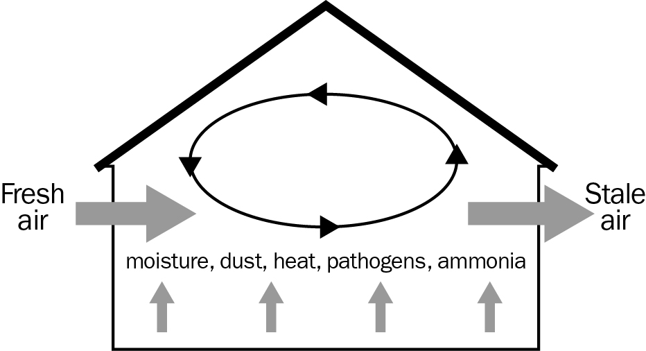 Fresh air moving into the left side of a barn and picking up moisture, dust, pathogens and ammonia as it passes out the right side of the barn.