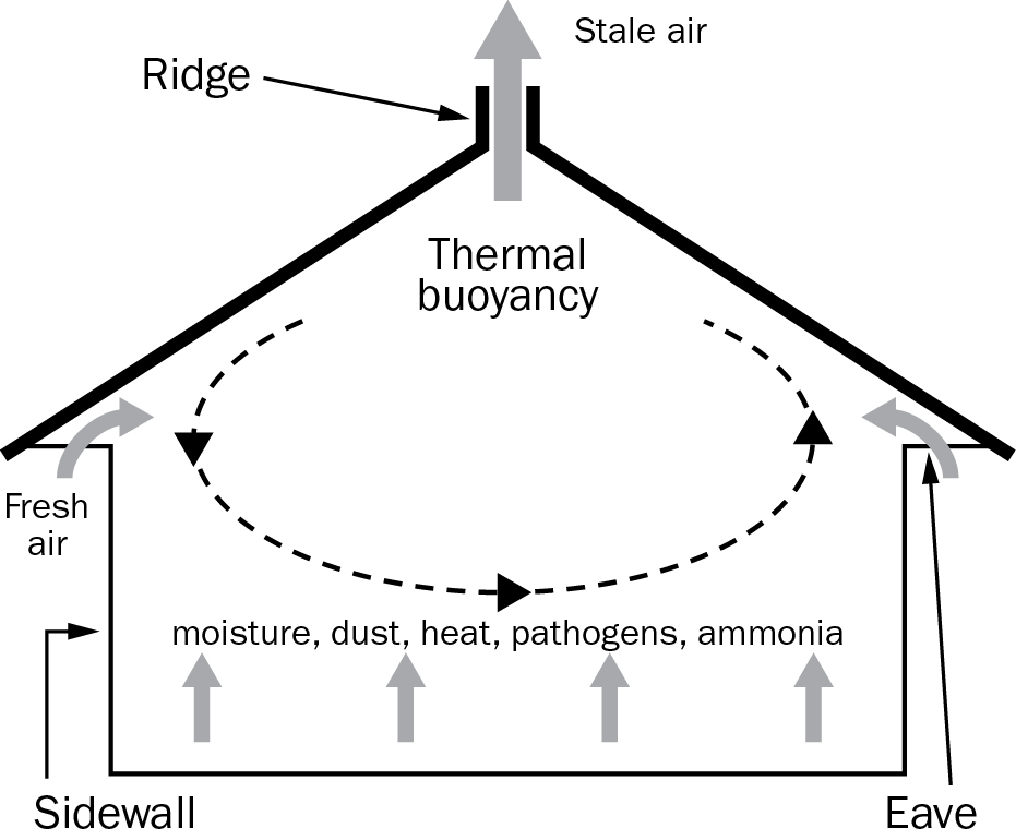 Fresh air moving into the left side of a barn through the eaves and venting out the chimney.