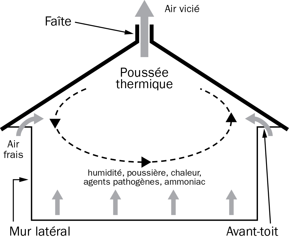 L'importance de la ventilation entre toit