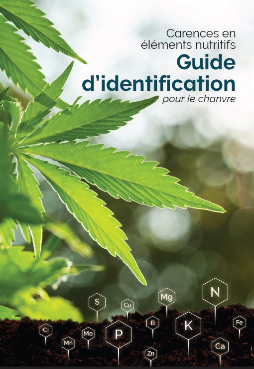 Image de couverture de livre.