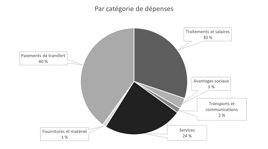 Par catégorie de dépenses 