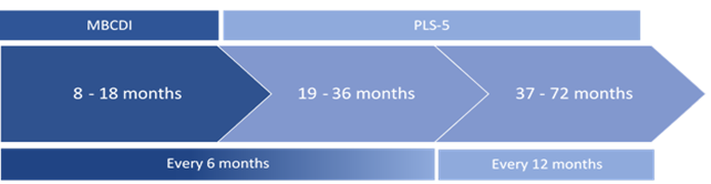 Measurement schedule for the MBCDI and PLS-5