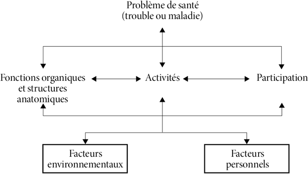 Diagramme montrant les liens entre l’état de santé (trouble ou maladie) et les fonctions et la structure du corps, la participation et l’activité. Les facteurs contextuels (personnels et environnementaux) touchent les fonctions et la structure du corps, la participation et l’activité.