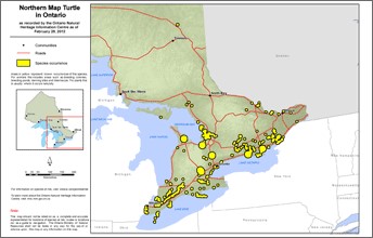 map of northern map turtle range