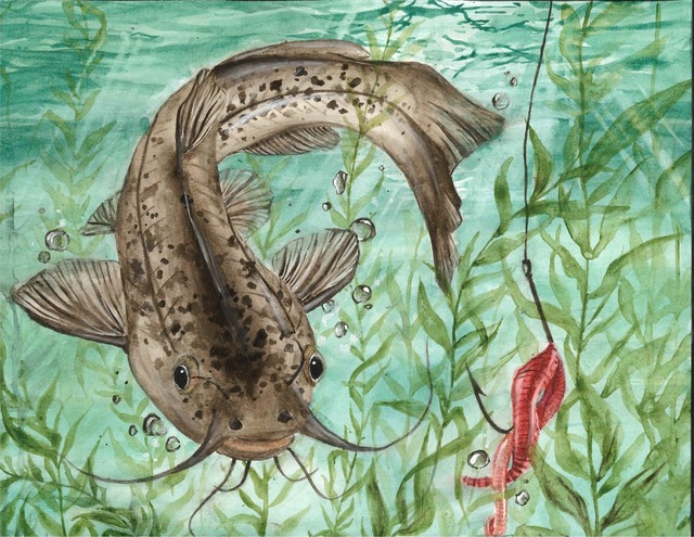 Watercolour painting of a brown bullhead chasing a worm on a hook with a green background with green weeds.