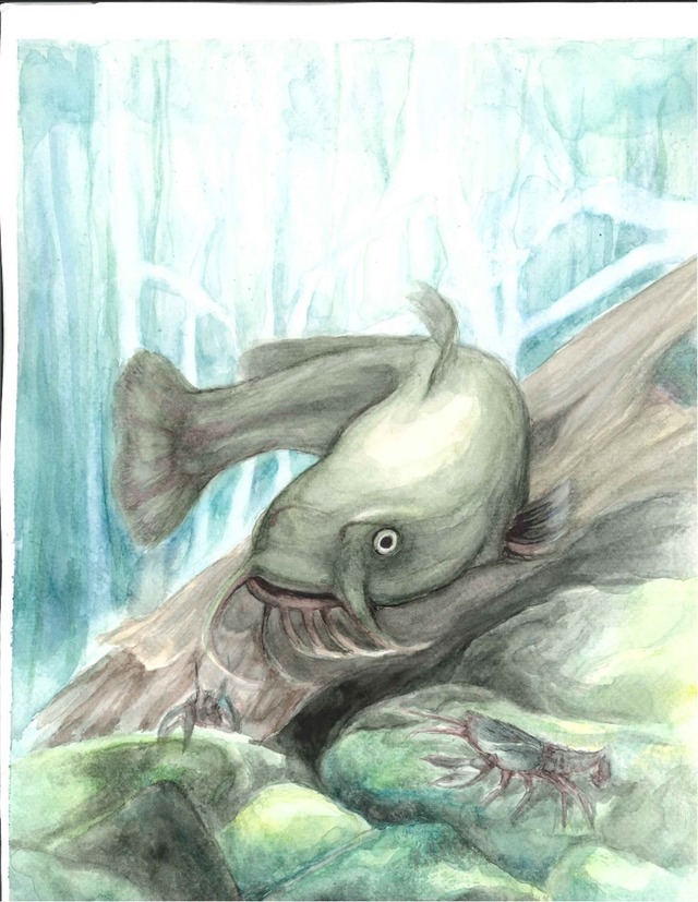 Watercolour painting of a brown bullhead swimming in front of a log with 2 crayfish and a rocky bottom below. Background is blue with green accents.