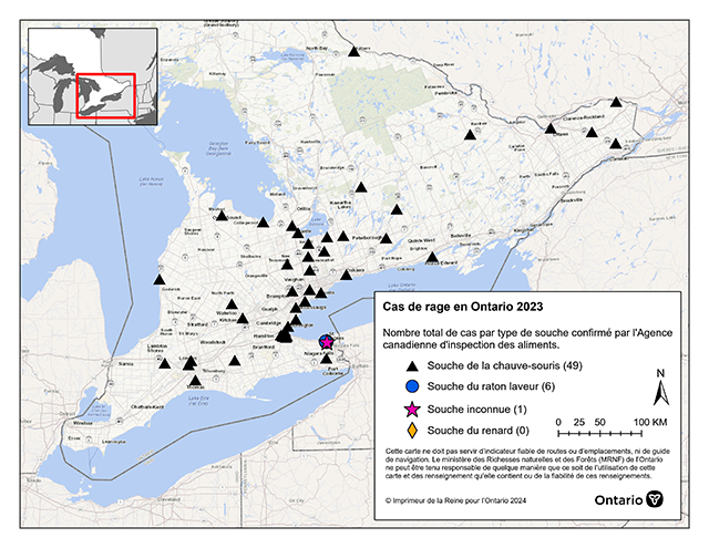 carte des virus positifs pour la rage de janvier à décembre 2023