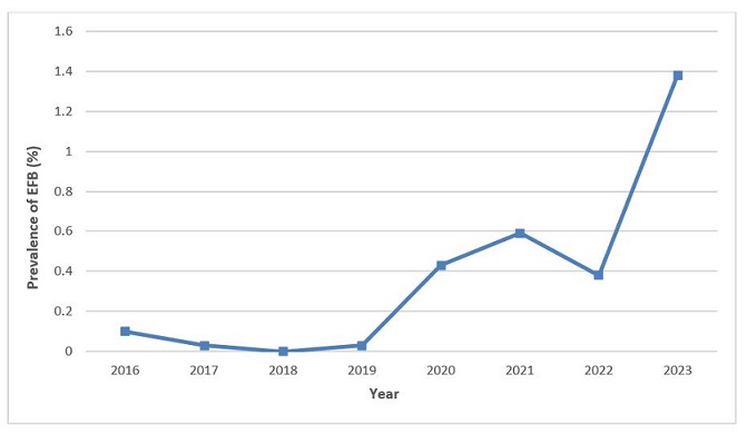 The annual prevalence of European foulbrood in Ontario apiaries was 0.1% in 2016, 0.03% in 2017, 0% in 2018, 0.03% in 2019, 0.43% in 2020, 0.59% in 2021, 0.38% in 2022 and 1.38% in 2023.