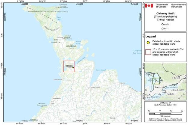 Figure D-2.11: Critical habitat for the Chimney Swift in Ontario