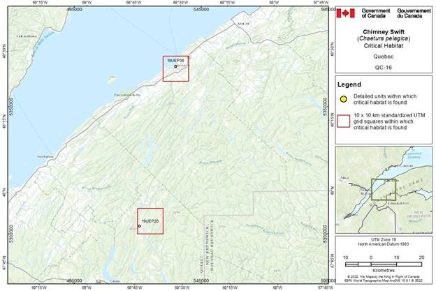 Figure D-3.16: Critical habitat for the Chimney Swift in Quebec