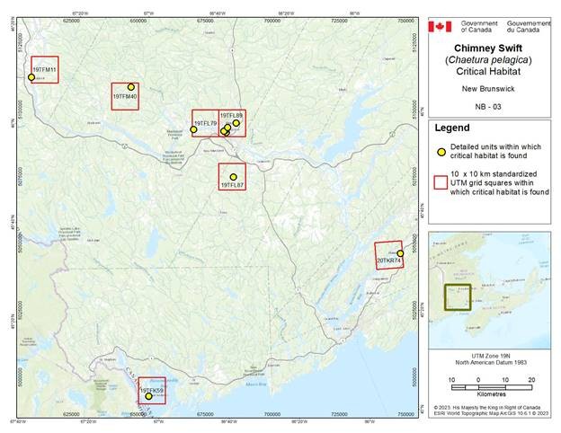 Figure D-4.3: Critical habitat for the Chimney Swift in New Brunswick