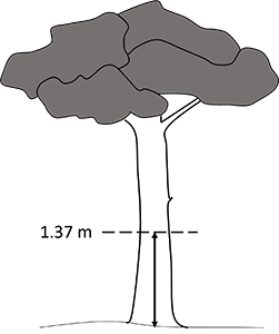 Figure 3i