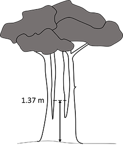 Figure 3v