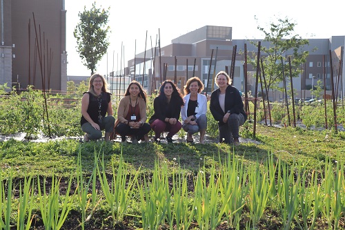 From left to right: Sula Larochelle, Therapeutic Recreation Specialist, Mental Health, Madison Arruda, Food & Nutrition Services Systems Analyst, Food & Nutrition Services (FNS), Michelle Stranges, Process Improvement Specialist FNS, Deana D’Ambrosio, Director FNS and Mary Ann Linley, Director, Mental Health are members of Food and Nutrition Services at St. Joseph’s Health Care London and they are in their urban garden at the Parkwood Institute that produces a variety of herbs and vegetables. This photo was provided by FNS.