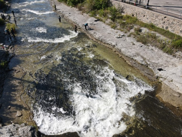Anglers fishing for salmon in the lower Ganaraska River