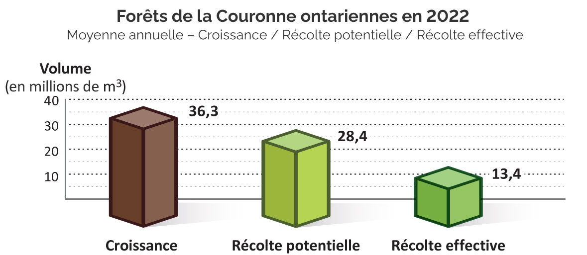 Diagramme en colonnes 3D comparant des mesures relatives aux forêts de la Couronne : croissance des forêts à 36,3 millions de mètres cubes, récolte potentielle de 28,4 millions de mètres cubes et récolte effective de 13,4 millions de mètres cubes